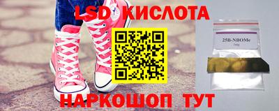 прущие грибы Краснознаменск