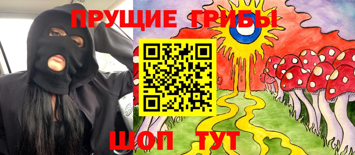 Псилоцибиновые грибы Psilocybe  Вход с VPN  Армавир 