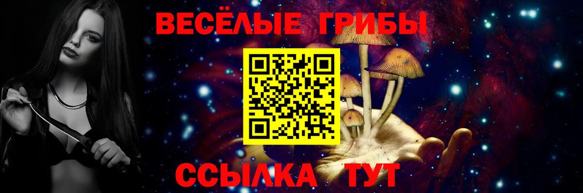 Псилоцибиновые грибы ЛСД Армавир